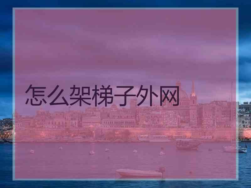 怎么架梯子外网