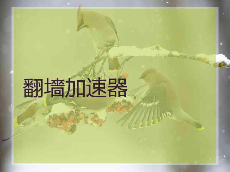 翻墻加速器