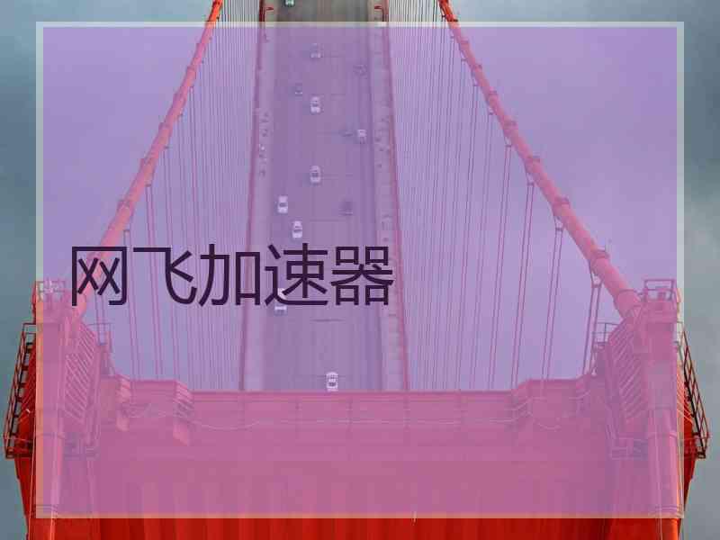 网飞加速器