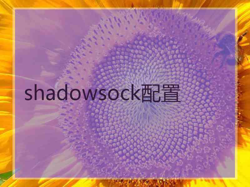 shadowsock配置