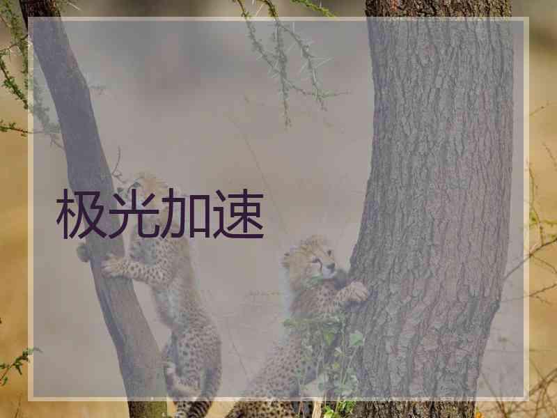 极光加速