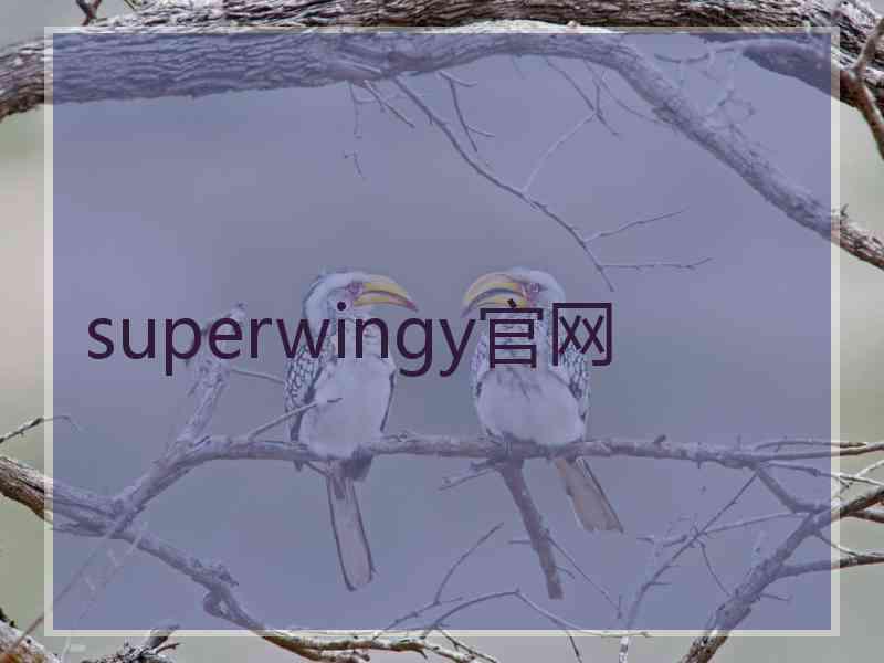 superwingy官网