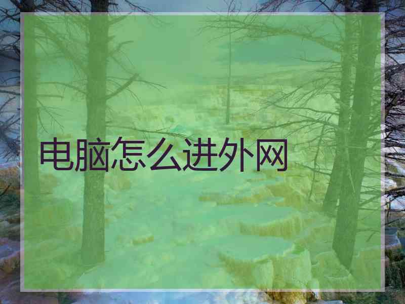 电脑怎么进外网