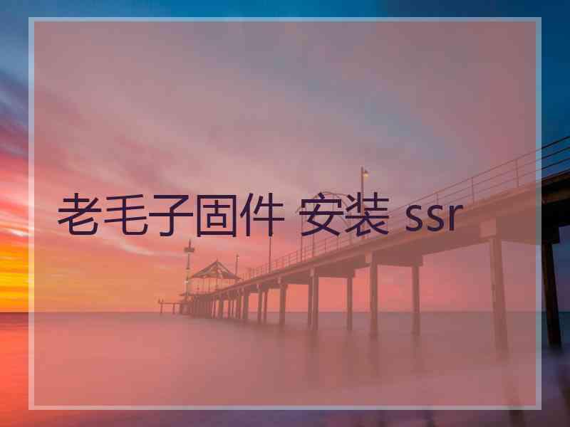 老毛子固件 安装 ssr