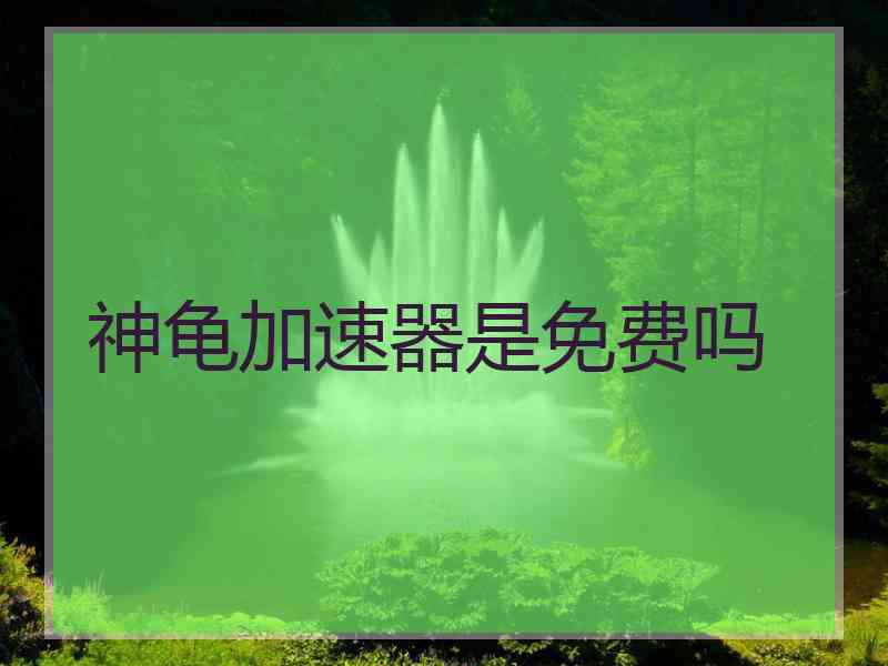 神龟加速器是免费吗