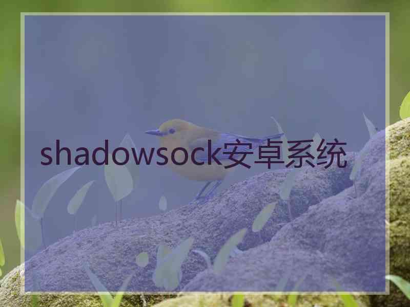 shadowsock安卓系统
