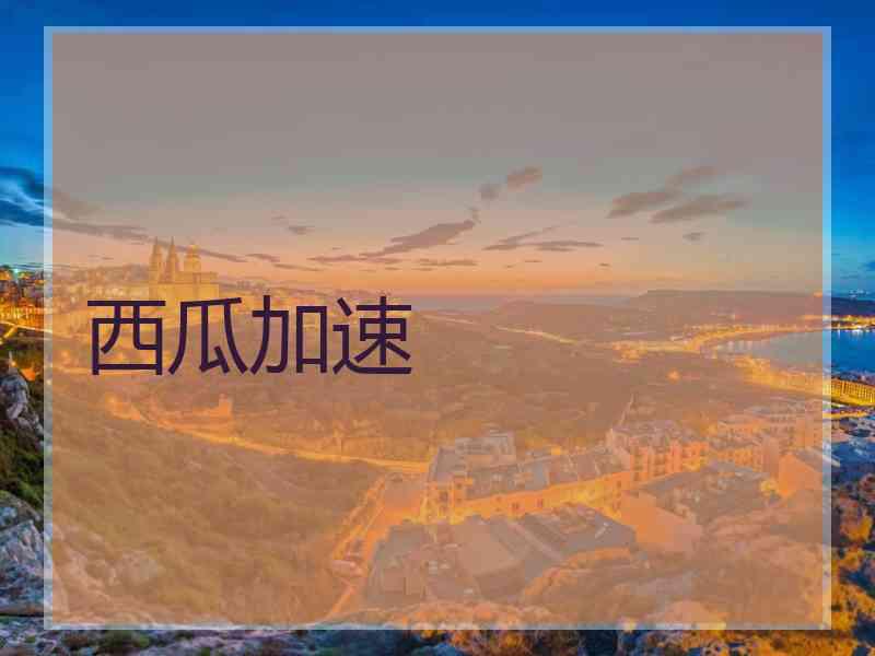 西瓜加速