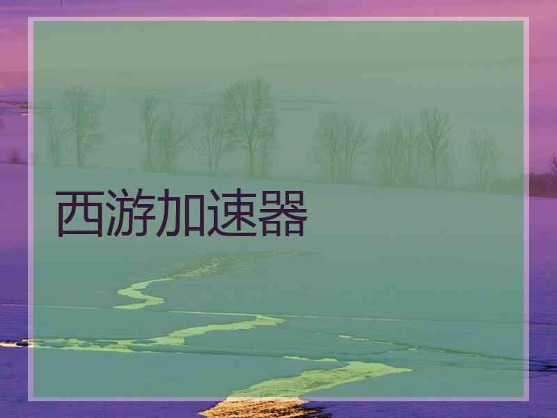 西游加速器