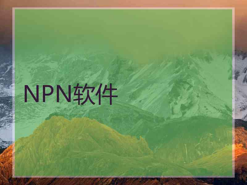 NPN软件