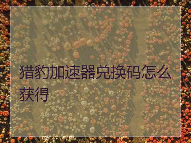 猎豹加速器兑换码怎么获得