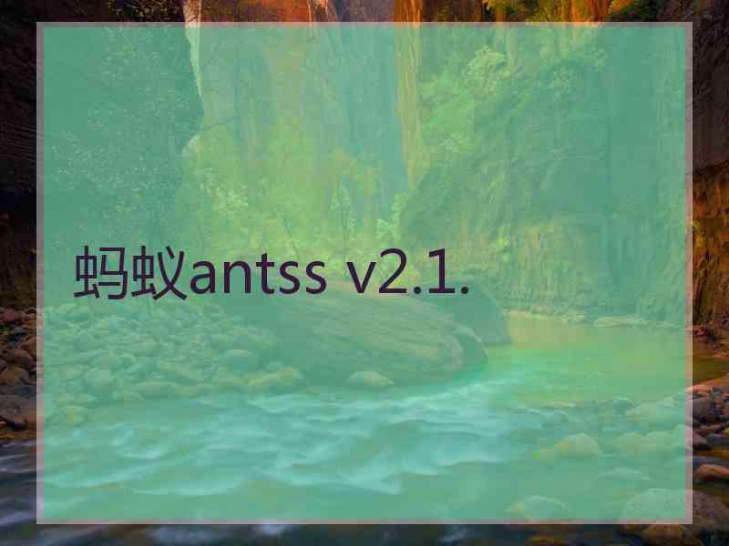 蚂蚁antss v2.1.