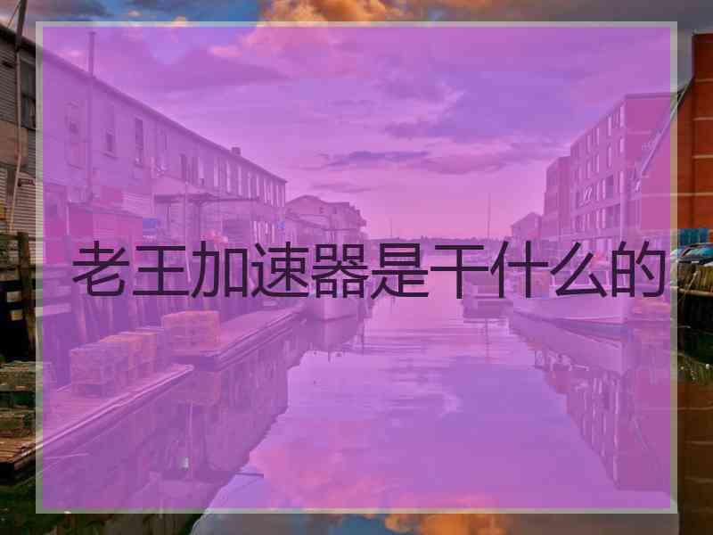 老王加速器是干什么的