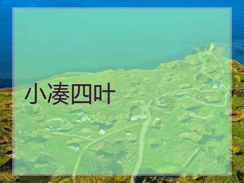 小凑四叶