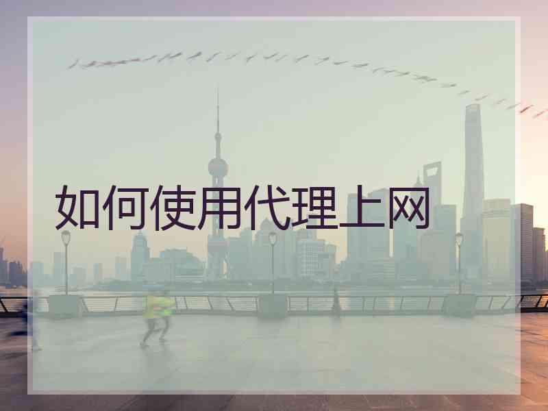 如何使用代理上网