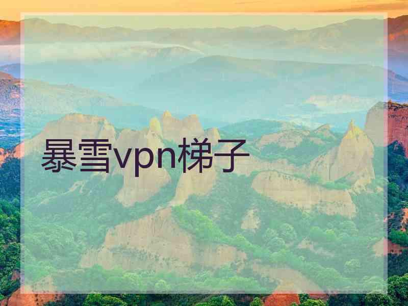 暴雪vpn梯子