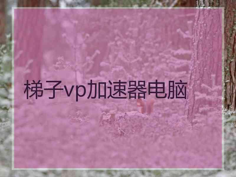梯子vp加速器电脑