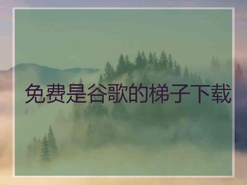 免费是谷歌的梯子下载