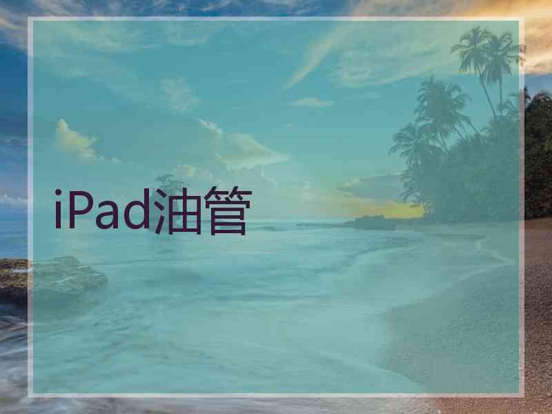 iPad油管