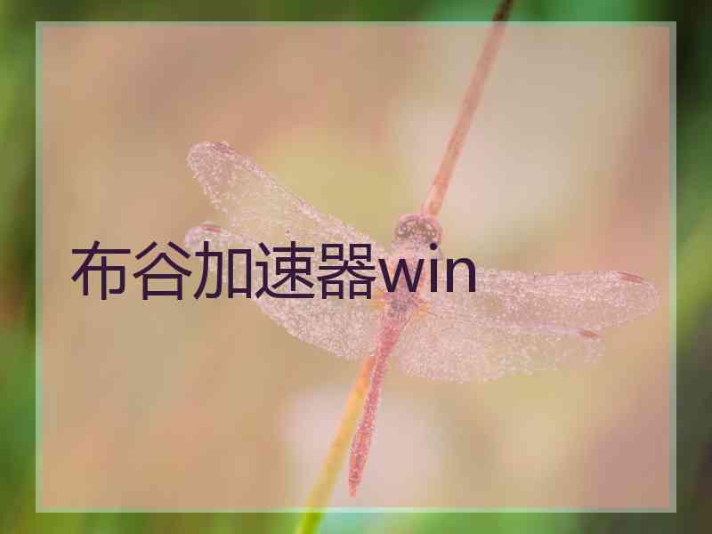布谷加速器win