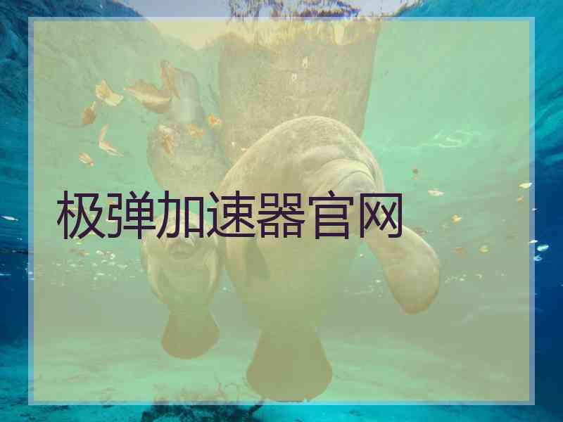 极弹加速器官网