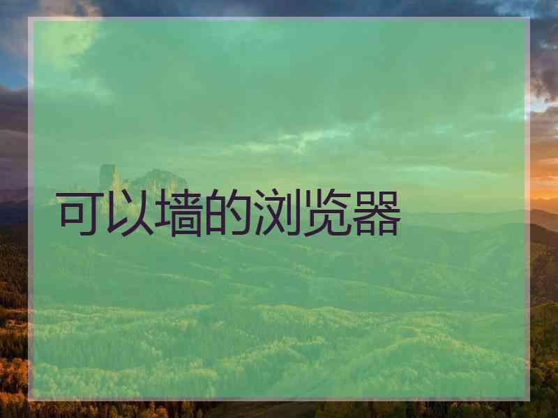 可以墙的浏览器