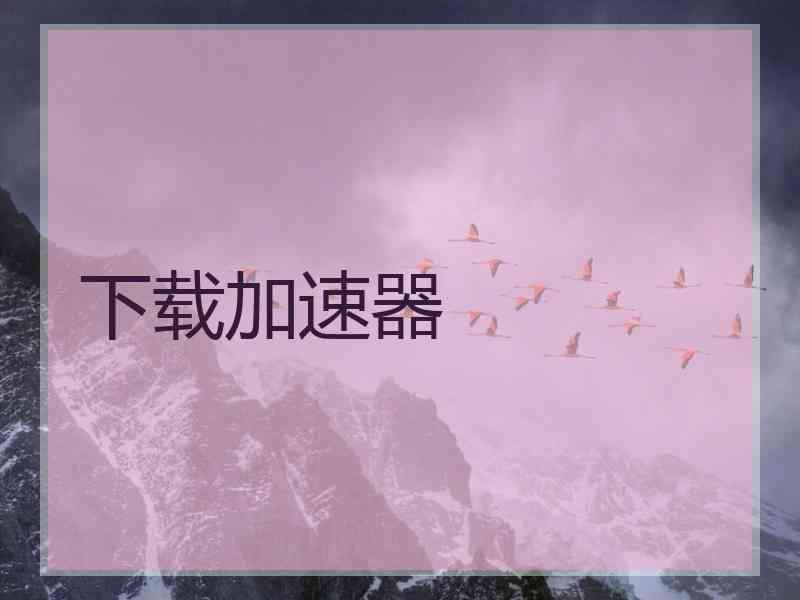 下载加速器