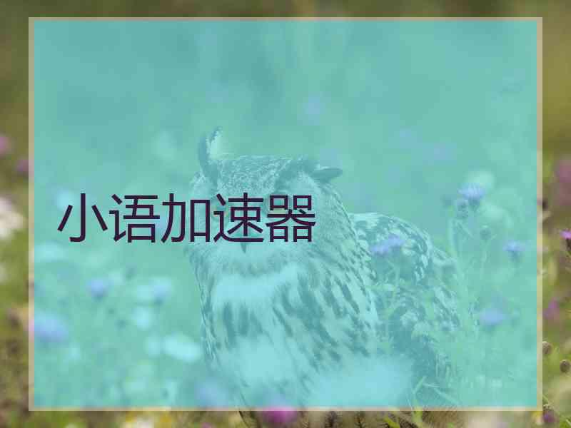小语加速器