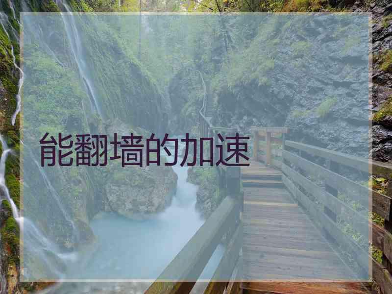 能翻墙的加速