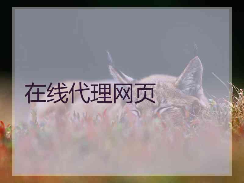 在线代理网页