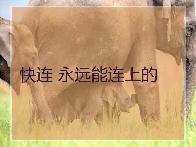 快连 永远能连上的