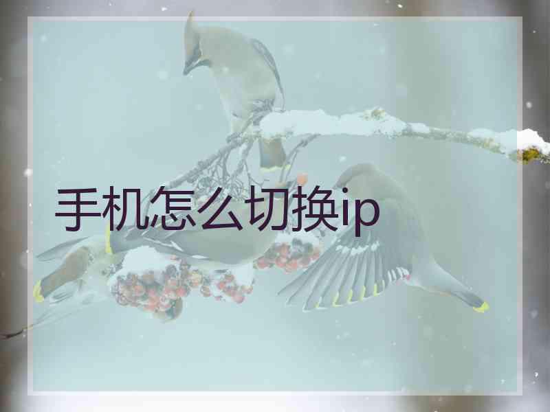 手机怎么切换ip