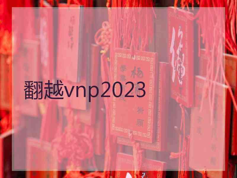 翻越vnp2023