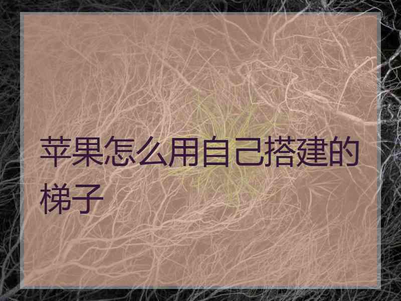 苹果怎么用自己搭建的梯子