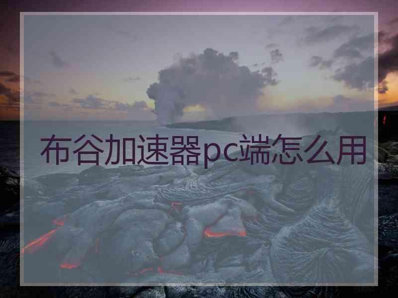 布谷加速器pc端怎么用