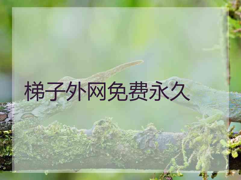 梯子外网免费永久