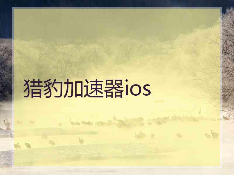 猎豹加速器ios