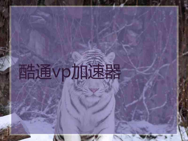 酷通vp加速器