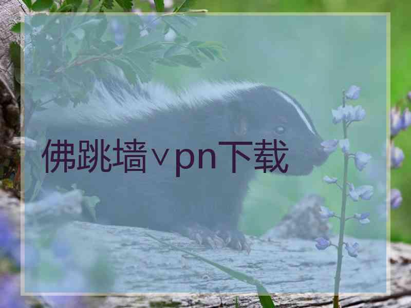 佛跳墙∨pn下载