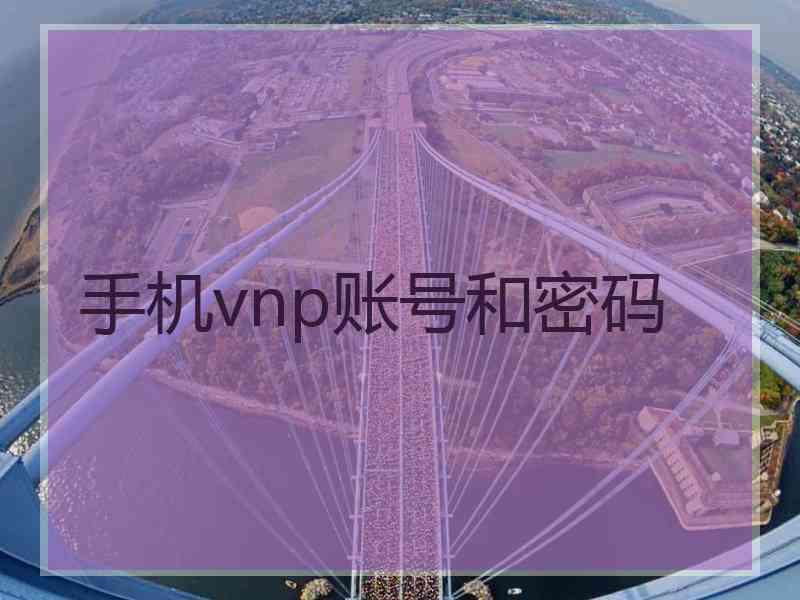 手机vnp账号和密码