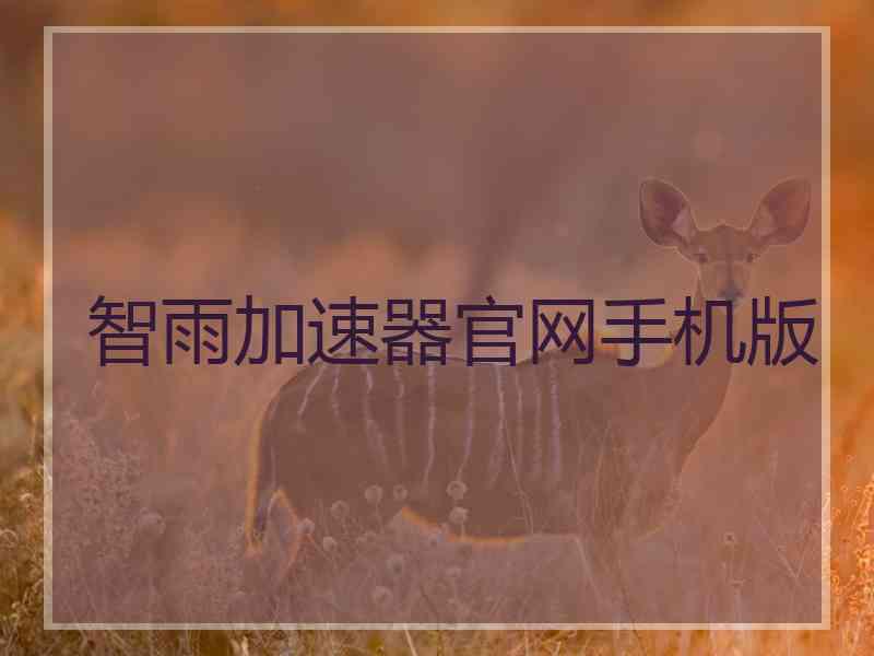 智雨加速器官网手机版