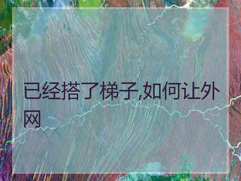 已经搭了梯子,如何让外网