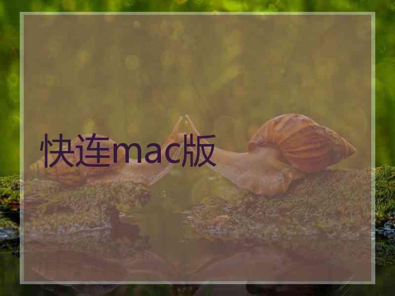 快连mac版