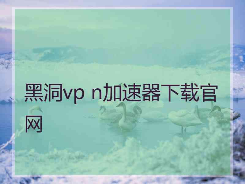 黑洞vp n加速器下载官网