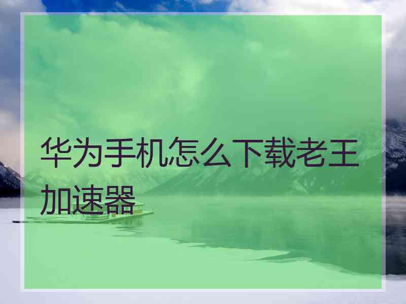 华为手机怎么下载老王加速器