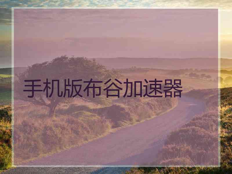 手机版布谷加速器