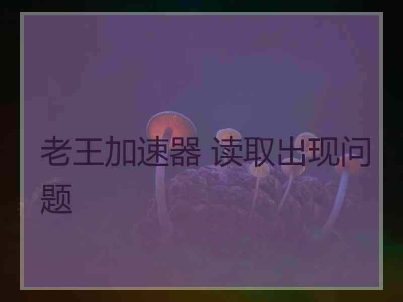 老王加速器 读取出现问题