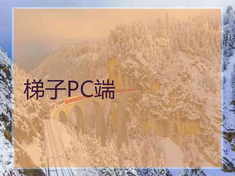梯子PC端