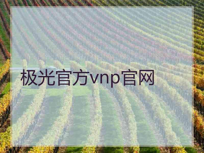 极光官方vnp官网