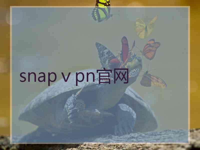 snapⅴpn官网