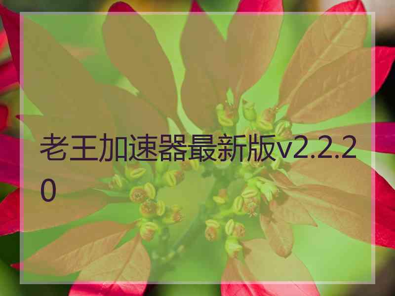 老王加速器最新版v2.2.20